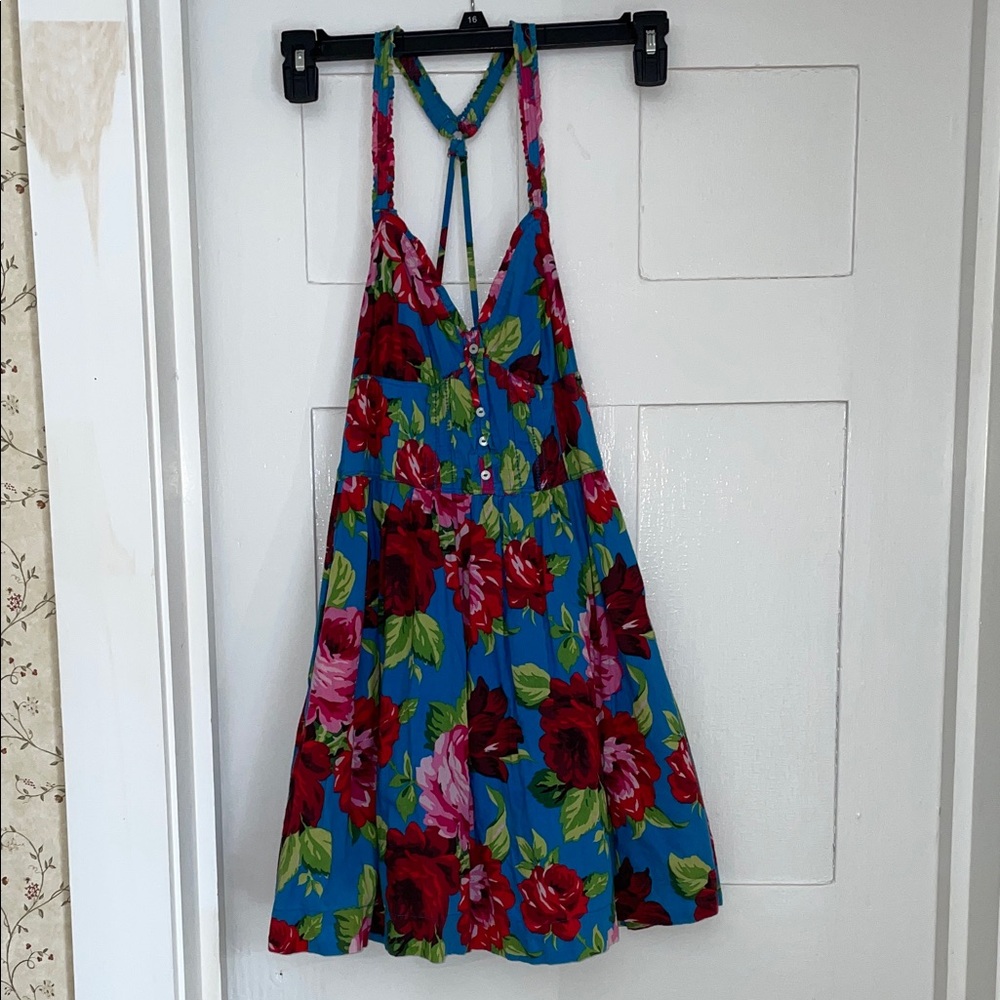 Abercrombie & Fitch Blue and Red Floral Dress with Pockets